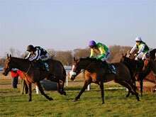 Kauto Star set to take on 12 in the 2009 King George Chase
