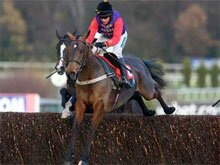 Babers Shop confirmed for the 2009 King George Chase