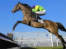 Kauto Star is the favourite to win the King George Chase for the 4th year in a row.