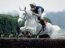 Desert Orchid